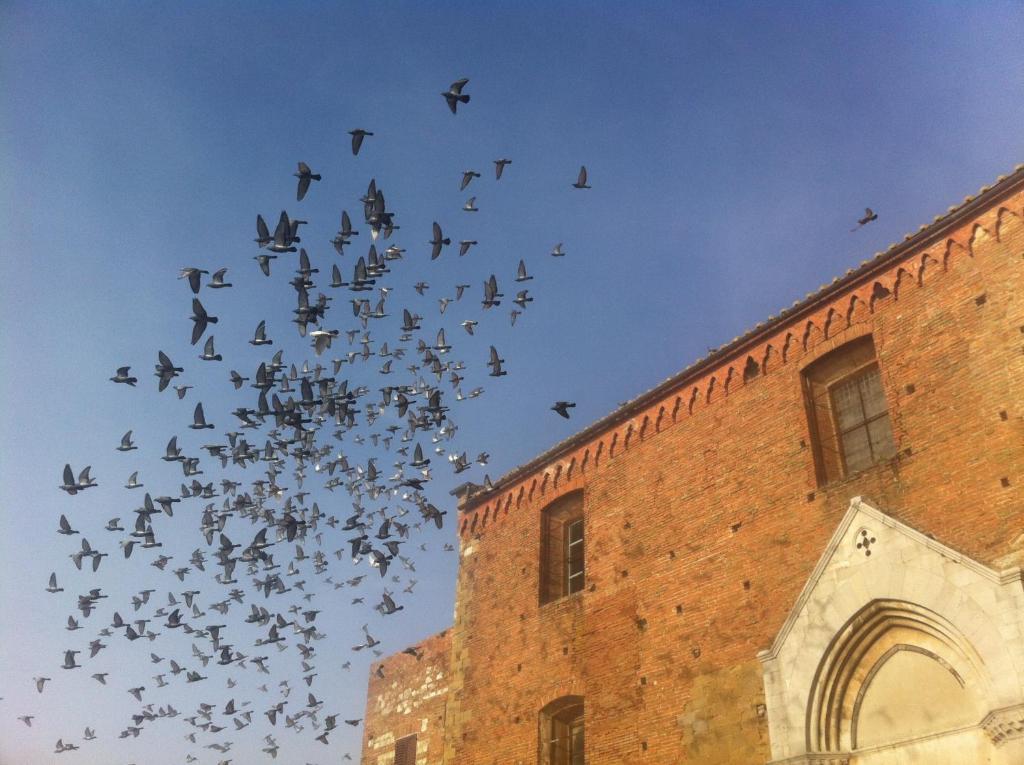La Locanda Di San Francesco Montepulciano Stazione Kamer foto